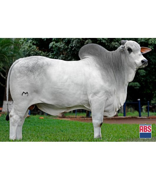 0_ESPARTANO-MAT-2022 0_ESPARTANO-MAT-2022