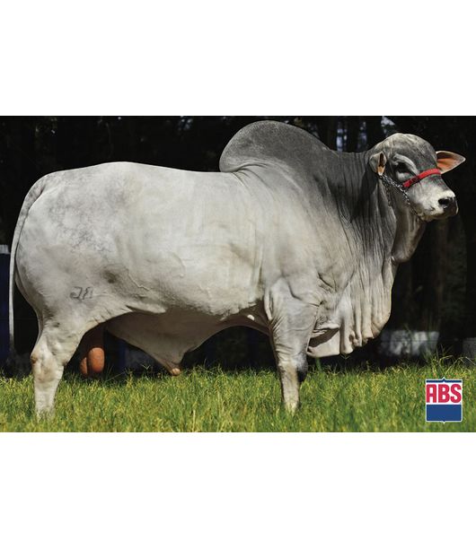 0_CONSORCIO-RG 0_CONSORCIO-RG