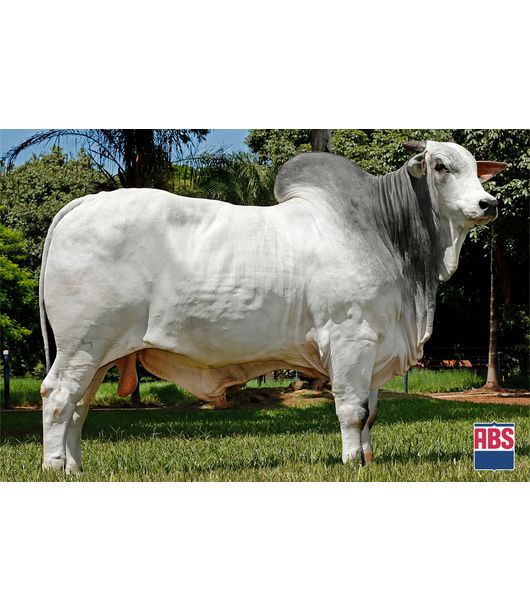 0_CAN-CAN-MAT 0_CAN-CAN-MAT