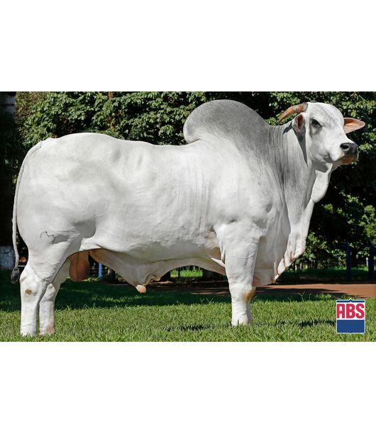 0_CAIAPO-2022 0_CAIAPO-2022