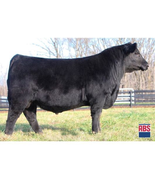 WRECKING-BAALL WRECKING-BAALL