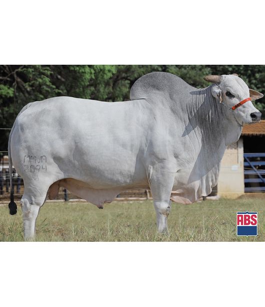 ZODIACO-FIV-JACAMIM ZODIACO-FIV-JACAMIM