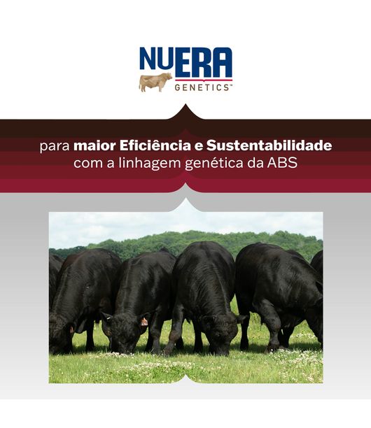 ABS-Black-Grife3 ABS-Black-Grife3