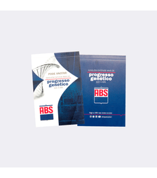 Bloquinhos-Merchandising-ABS--1-